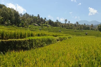 BALI ECO WILDERNESS XPERIENCES