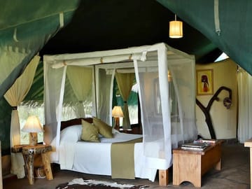 12Days Best of Kenya and Tanzania Wildlife Safari
