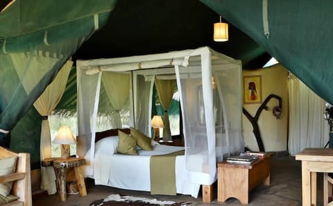 5-Day Wildlife Safari Adventure in Nairobi, Kenya
