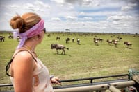 Masai Mara game drive