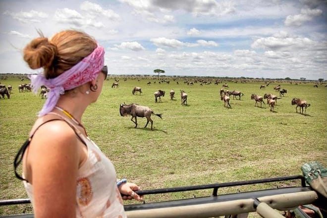 Masai Mara game drive