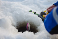 Ice Fishing Experience by Minivan 1