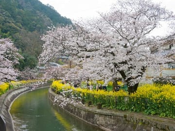 Kyoto Osaka to Lake Biwa Private Day Tour