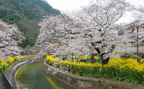 Kyoto Osaka to Lake Biwa Private Day Tour