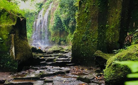 Bali Waterfalls and Sacred Temples Full-Day Tour
