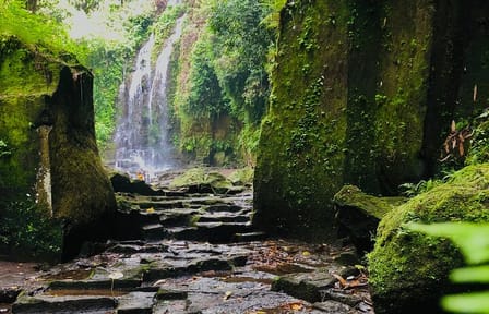 Bali Waterfalls and Sacred Temples Full-Day Tour