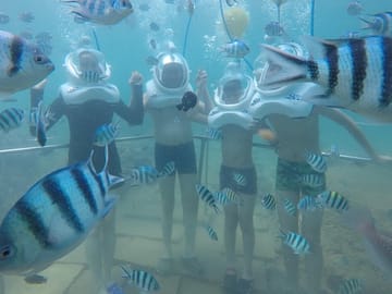 Sea Trek