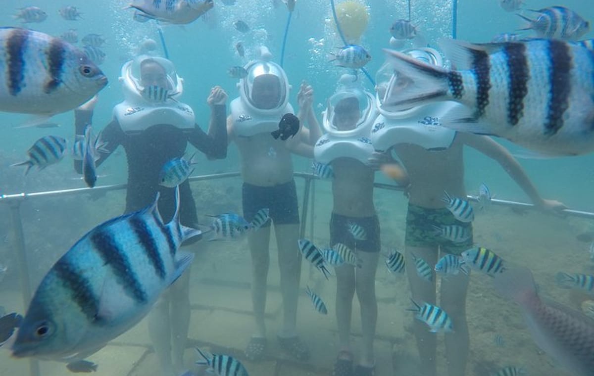 Full-day Cham Islands Cruise from Hoi An with Underwater Walking Excursion