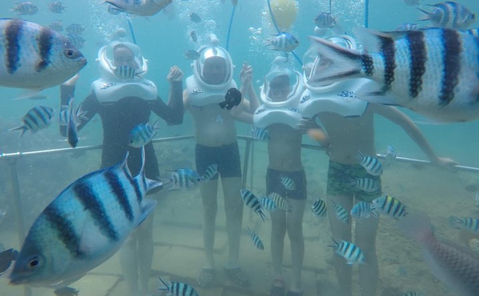 Cham Islands Full-Day Cruise with Underwater Walking from Hoi An