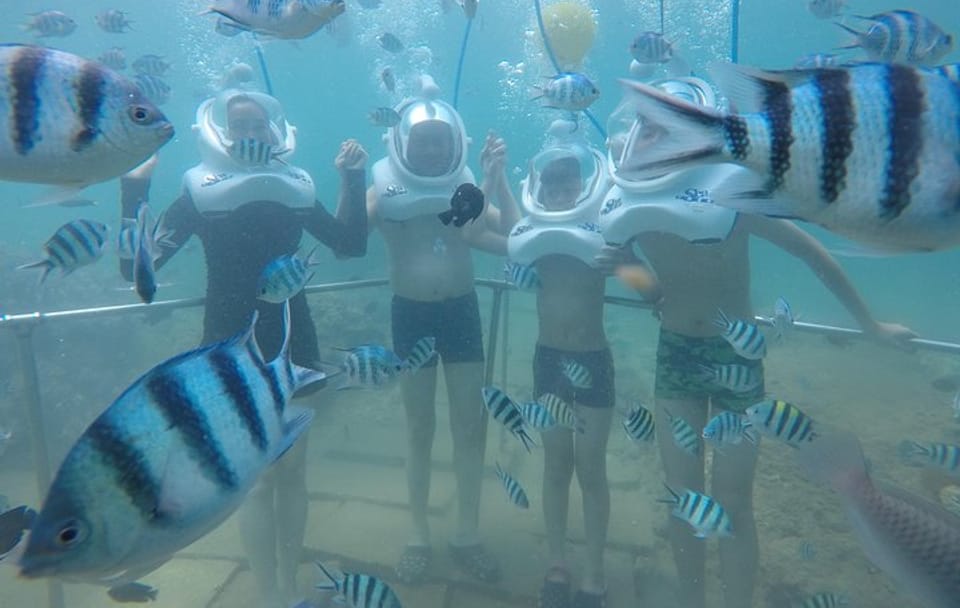 Cham Islands Full-Day Cruise with Underwater Walking from Hoi An