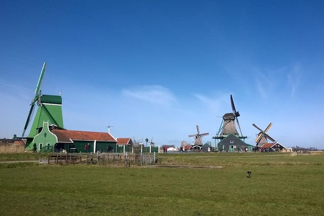 Zaanse Schans Small-Group Half-Day Tour from Amsterdam 6