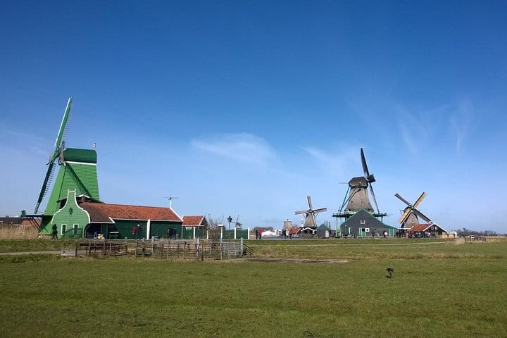 Zaanse Schans Small-Group Half-Day Tour from Amsterdam 6