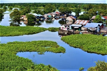 Private Tonle Sap Lake Boat Tour to Floating Village and Mangroves