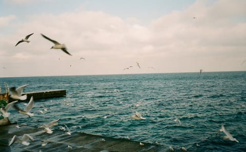 Private Walking Tour of Odesa's History and Culture