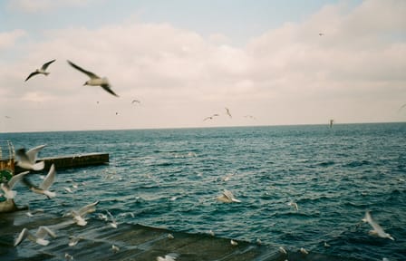Private Walking Tour of Odesa's History and Culture