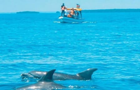 Dolphin and Snorkling Tour in Watamu