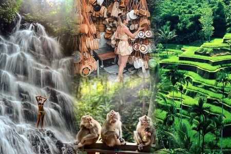 Explore Ubud: Waterfalls, Monkey Forest & Rice Terraces Adventure
