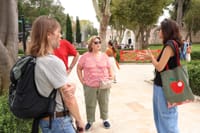 Istanbul: Topkapi Palace, Harem, & Basilica Guided Tour 3