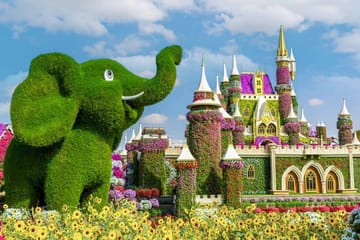 Dubai Miracle Garden and Burj Khalifa Tour with Shopping