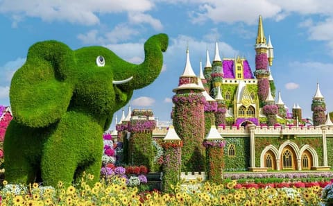 Dubai Miracle Garden and Burj Khalifa Tour with Shopping