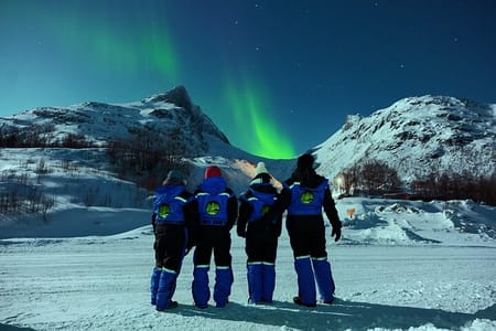 Tromso Aurora Small Group Tour with Snacks, Photos & 5 Languages
