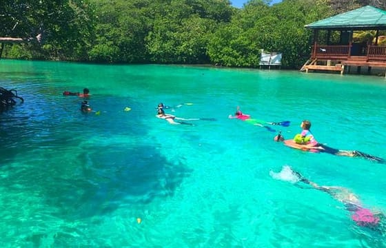 Sightseeing Roatan East Mangrove Tunnel, Snorkeling, Hole in Wall plus Transfer