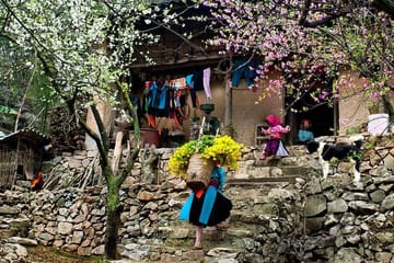 Motorbike Adventure Tour Through Hà Giang, Vietnam - 7 Days