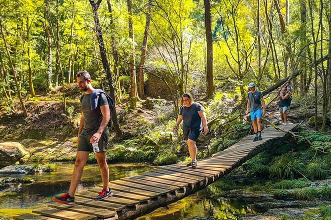 Serra d'Arga: Senderismo, Baño y Cena como un Local en un Rincón Secreto – image 8