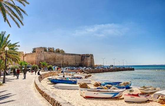 From Tunis and Hammamet: Private Tour Hammamet and Zaghouane
