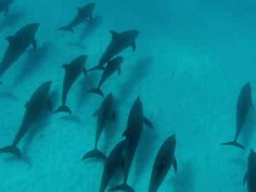 Private 5-Day Minivan Tour of Zanzibar's Key Attractions