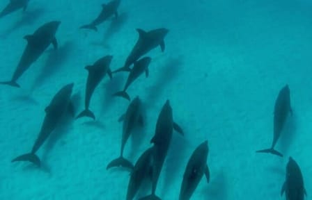 Zanzibar Private 5 Day Minivan Tour