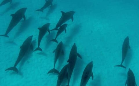 Private 5-Day Minivan Tour of Zanzibar's Key Attractions