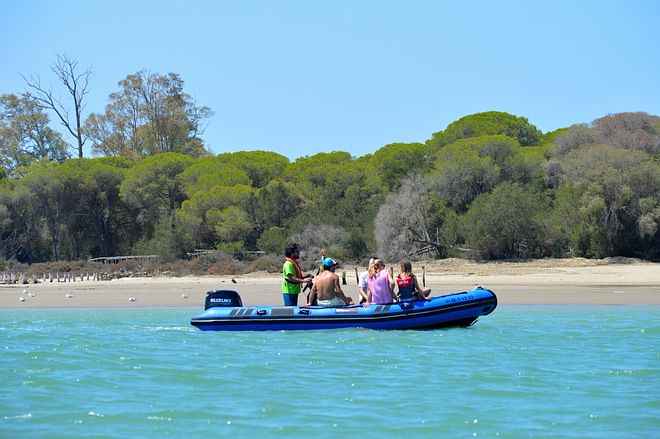 speedboat tour along the Guadalquivir River and Doñana, (departures from Sanlúcar)