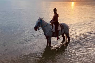 Horseback Riding Tour Along Belize's Placencia Coastline