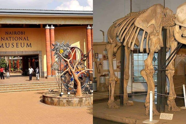 Nairobi Museum Snake Park Giraffe Center and Beads Center Tour