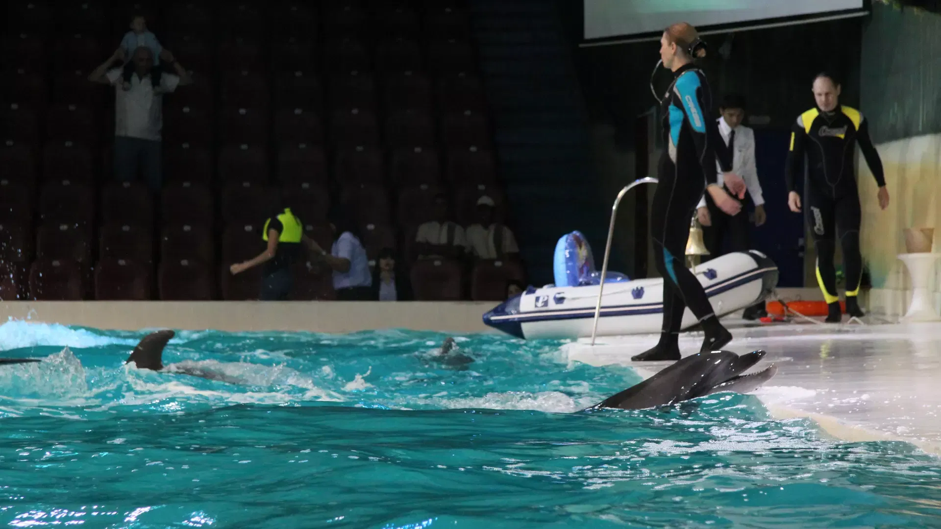 Three staff members on the poolside deck during a show at Dubai Dolphinarium