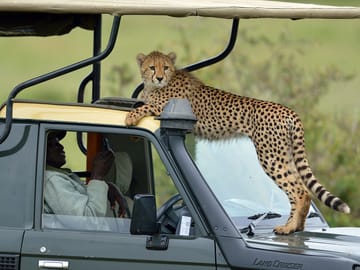 3 Days Masai Mara Group Joining Safari