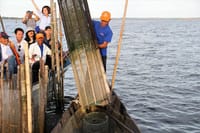 TAM GIANG LAGOON AND FISHERMAN’S FEAST HALF-DAY TOUR 6