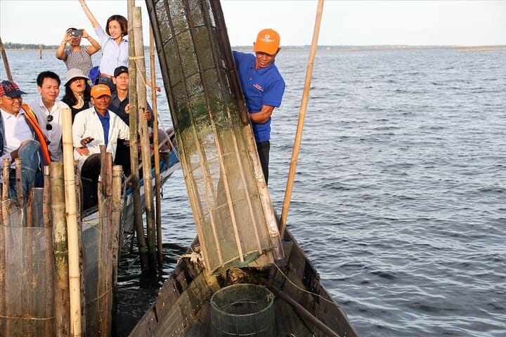 TAM GIANG LAGOON AND FISHERMAN’S FEAST HALF-DAY TOUR 6