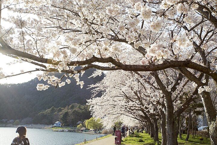 Mt Fuji with Kawaguchiko Lake Day Tour