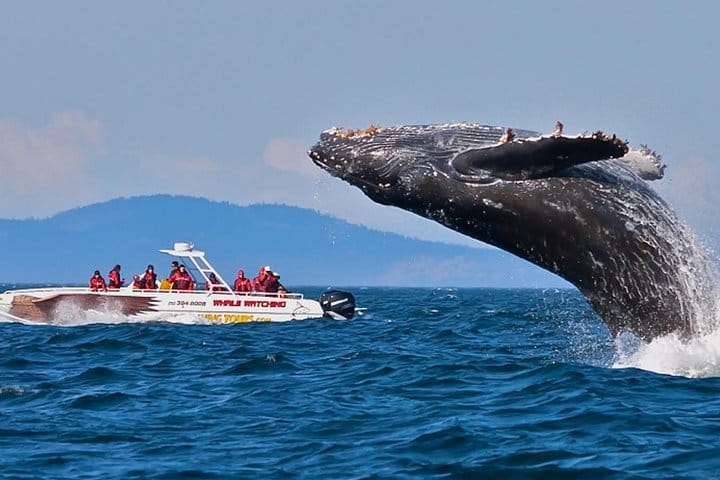 Highlights Of Sri Lanka | 7 Days