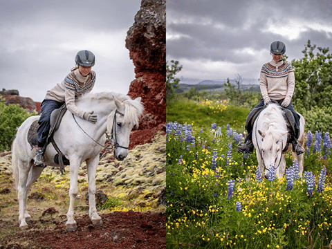 Viking Horses Morning Tour, photo 10