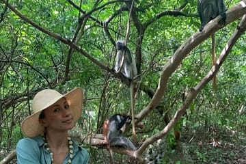 Zanzibar Jozani Forest, Kuza Cave and Blue Lagoon with Starfishes