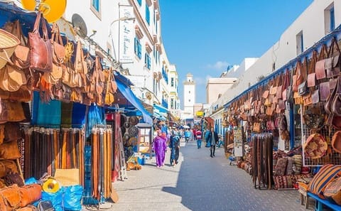 From Marrakech To Essaouira Mogador Full Day Trip | Small-group