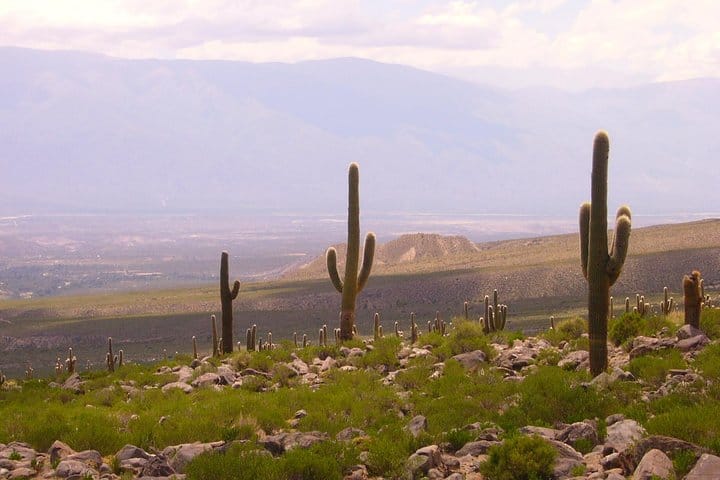 Tafí del Valle