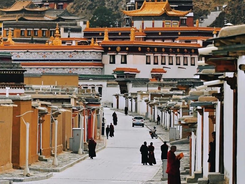 From Lanzhou: Labrang Monastery & Sangke Grassland Day Tour
