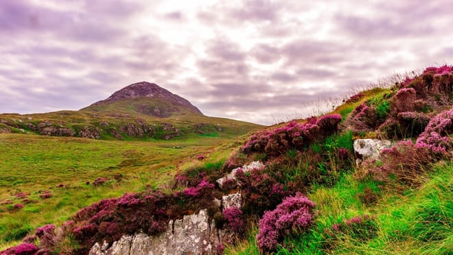 Explore Connemara National Park. Galway, Self-Guided. 7