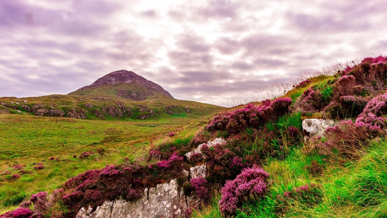 Explore Connemara National Park. Galway, Self-Guided. 7