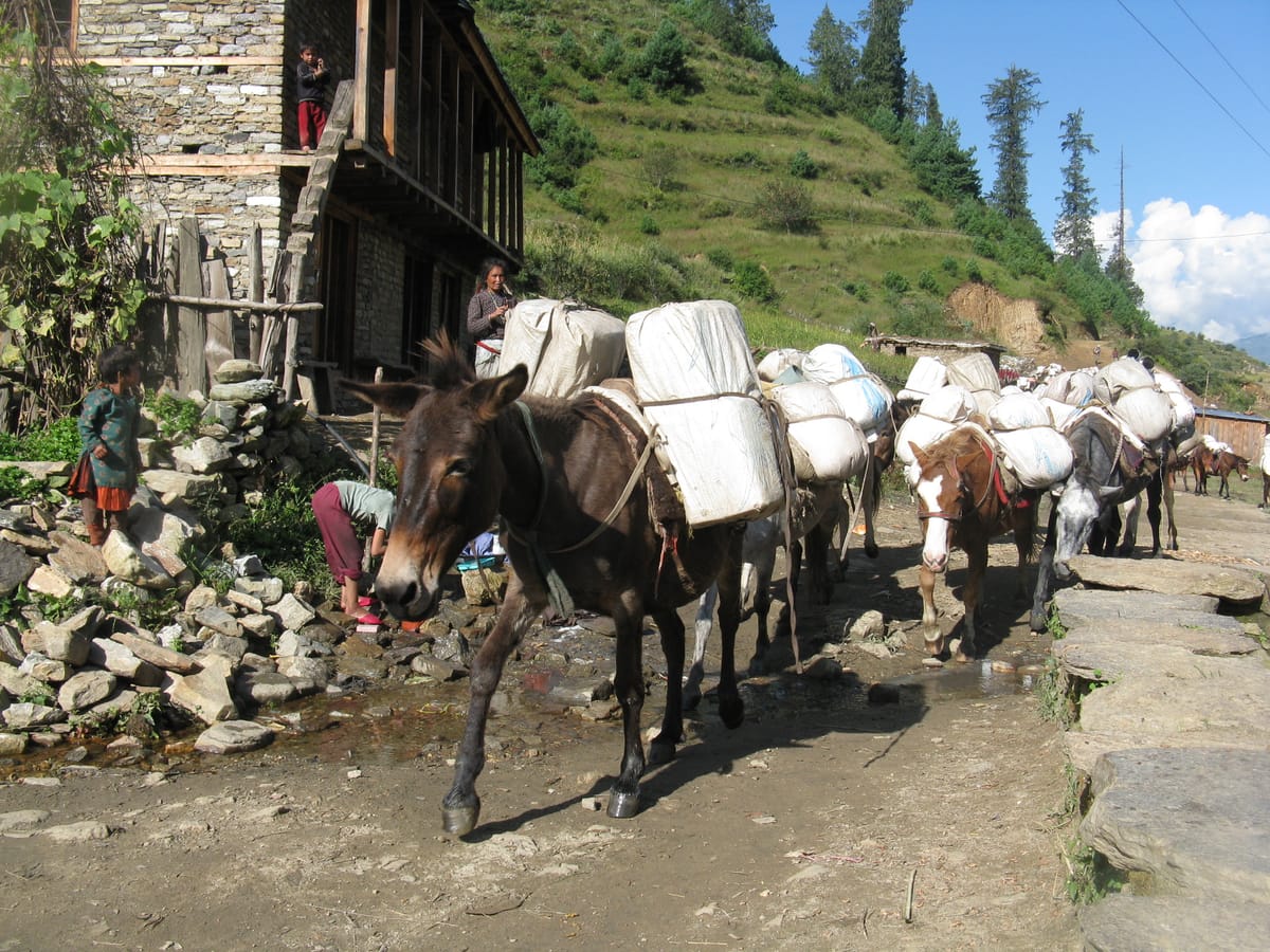 19 Days Mera Peak Climbing & Expedition – One Life-Changing Himalayan Adventure