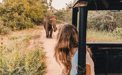 Instagramble Sri Lanka – 7 Days
